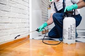 Best Fumigation Services  in Las Vegas, NM